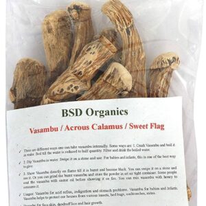 Acorus Calamus 1000 Grams (Sweet Flag)